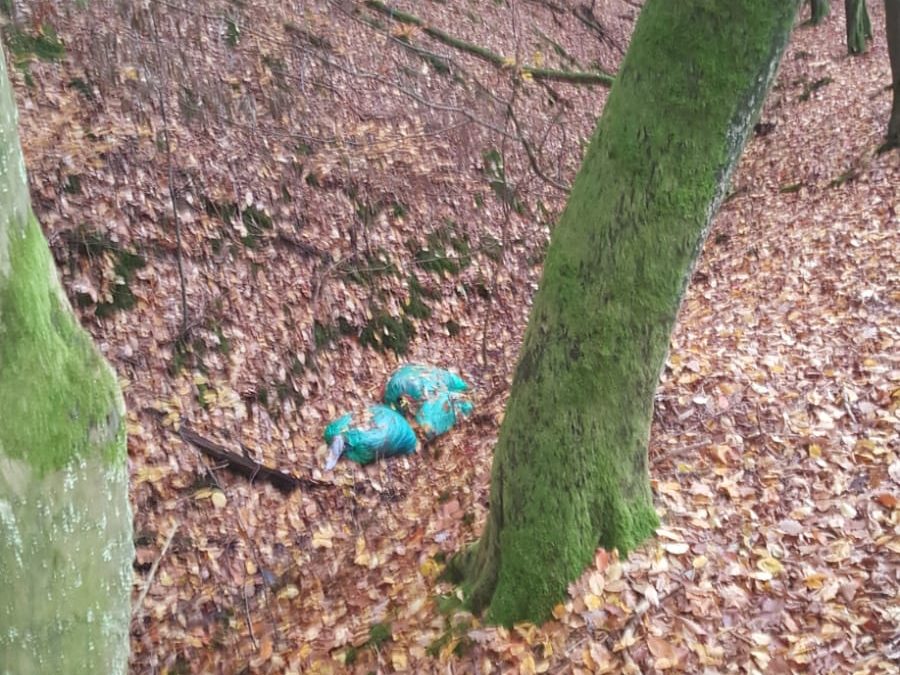 Bergung von illegal im Wald entsorgtem Müll