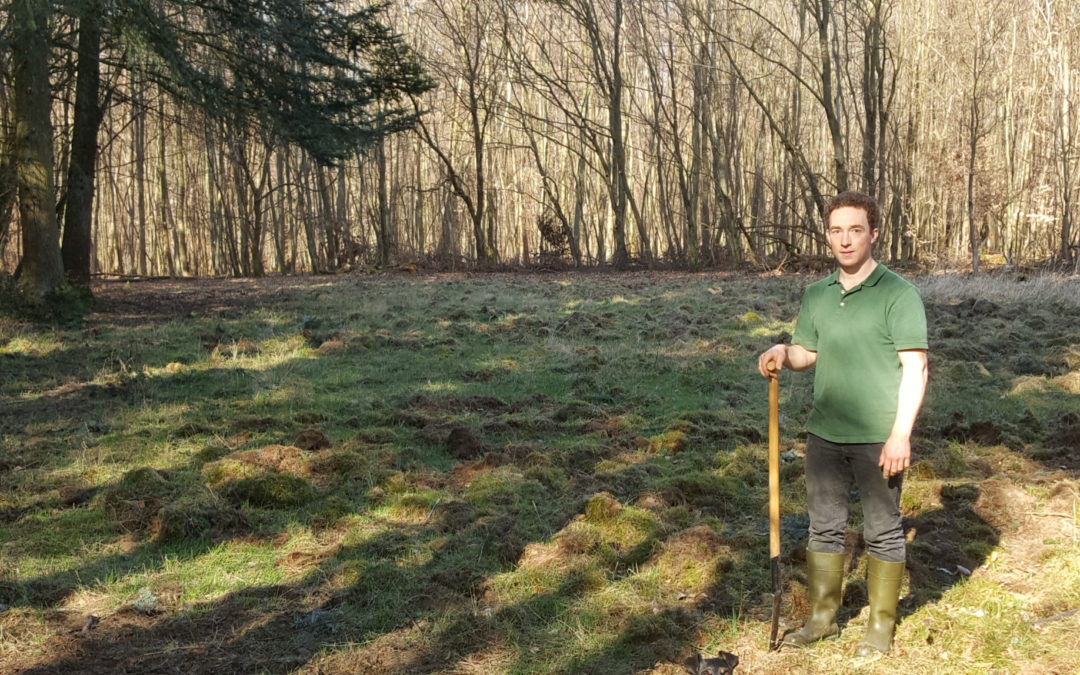 Anlage von Wildäsungsflächen fürs Rotwild in Krofdorf