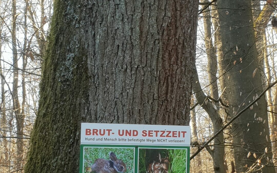 Schilder zur Brut- und Setzzeit aufstellen